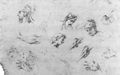 Pittoni, Giambattista: Studie für sieben Köpfe, neun Hände und einen Unterarm