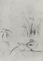 Morisot, Berthe: Die Ente