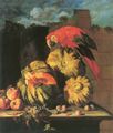 Tamm, Franz Werner von: Papagei auf Kürbissen