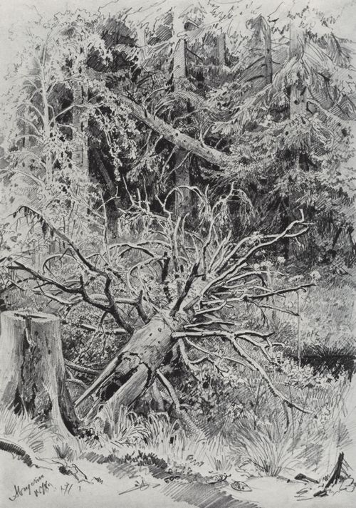Schischkin, Iwan Iwanowitsch: Im Wald. Gefallener Baum