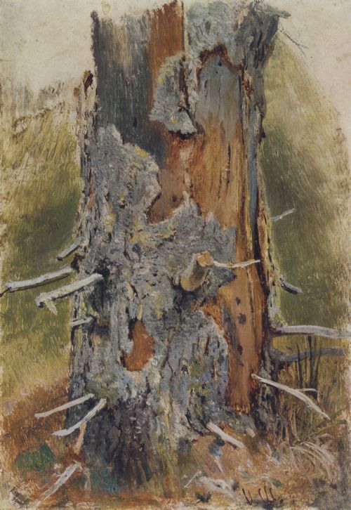 Schischkin, Iwan Iwanowitsch: Die Rinde eines alten Baumstamms, Studie