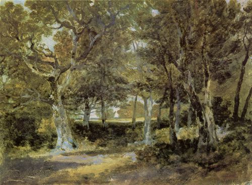 Turner, Joseph Mallord William: Chevening-Park (Chevening Park)