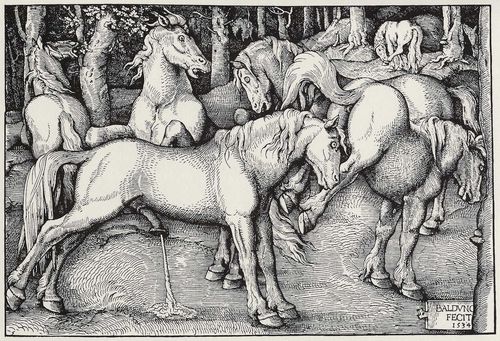 Baldung Grien, Hans: Gruppe von sechs Pferden