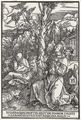 Dürer, Albrecht: Stigmatisierung des Hl. Franz