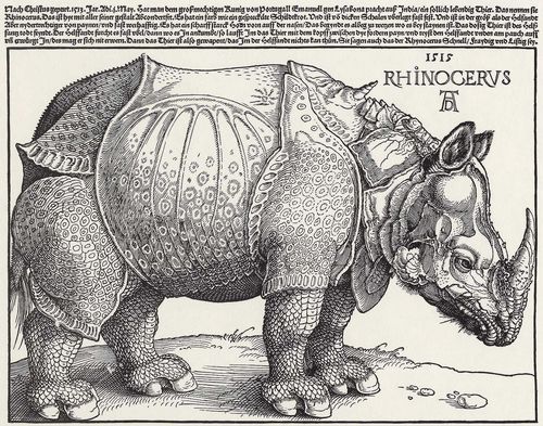 Drer, Albrecht: Rhinozeros