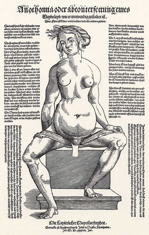 Vogtherr d. ., Heinrich: Anatomische Darstellung des weiblichen Krpers