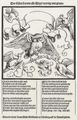 Dürer, Albrecht (Schule): Eule, von Vögeln angegriffen