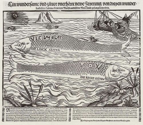 Käppeler, Bartholomäus: Wunderhering, gesehen am 24. Dezember 1587