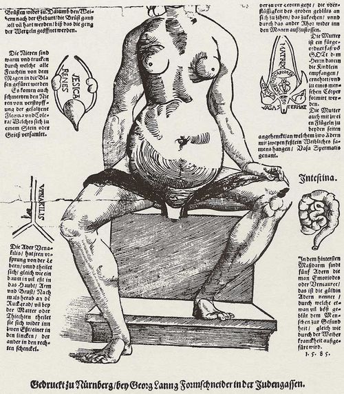 Lang, Georg: Anatomische Darstellung des weiblichen Körpers, Fragment
