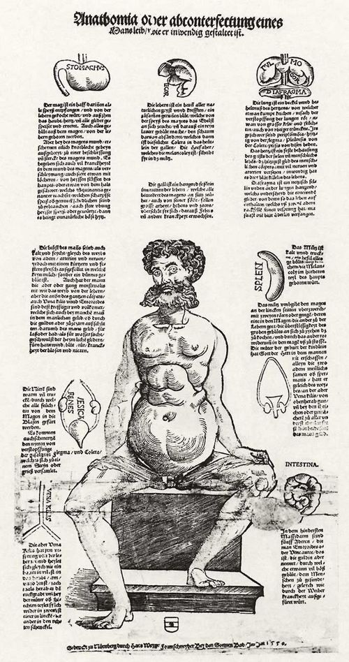 Weigel d. ., Hans: Anatomie des Mannes