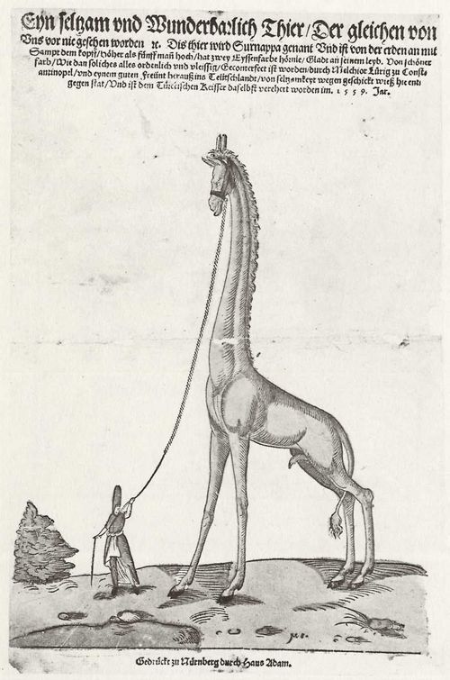 Meister M S: Seltenes und wunderbares Tier namens Surnappa (Giraffe)