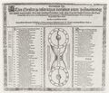 Deutscher Meister der 2. Hlfte des 16. Jahrhunderts: Das geistige Uhrwerk