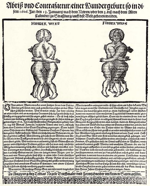 Negele, Tobias: Missgeburt in Straburg, 13. Januar 1606