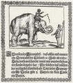 Nrnberger Meister von 1629: Werbeplakat fr die Ausstellung eines Elefanten [2]