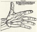 Deutscher Meister des 17. Jahrhunderts: Die Hand des Riesen Jacob Damman aus Lüneburg