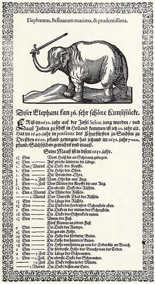 Deutscher Meister des 17. Jahrhunderts: Der Elefant mit den 36 Tricks