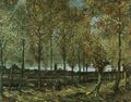 Gogh, Vincent Willem van: Pappelallee bei Nuenen