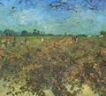 Gogh, Vincent Willem van: Der grüne Weinberg