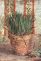 Gogh, Vincent Willem van: Blumentopf mit Schnittlauch