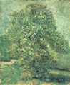 Gogh, Vincent Willem van: Blühender Kastanienbaum