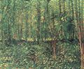 Gogh, Vincent Willem van: Bäume und Unterholz