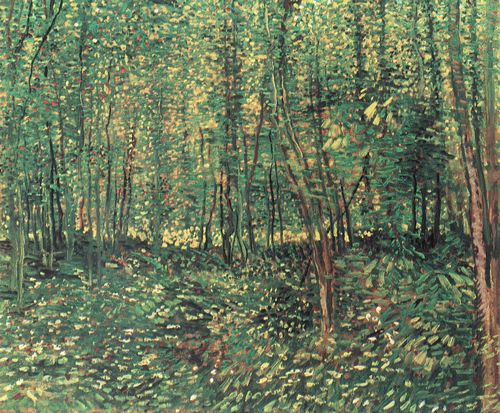 Gogh, Vincent Willem van: Bume und Unterholz