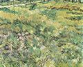 Gogh, Vincent Willem van: Wiese im Garten des Hospitals Saint-Paul