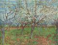 Gogh, Vincent Willem van: Obstgarten mit blühenden Aprikosenbäumen