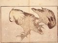 Katsushika Hokusai: Buchillustration