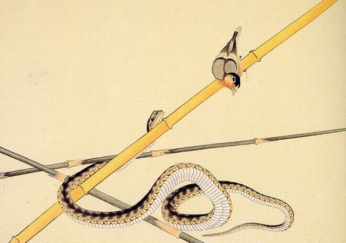 Katsushika Hokusai: Schlange und Vglein