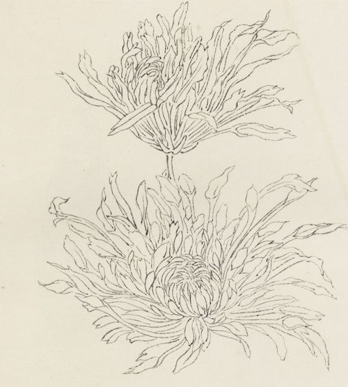 Katsushika Isai: Zwei Chrysanthemenblüten