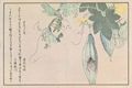Kitagawa Utamaro: Aus dem Buch Insektensammlung: Zikade und Heuschreke auf einem Krbis