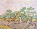 Gogh, Vincent Willem van: Olivenpfläckerinnen
