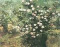 Gogh, Vincent Willem van: Blühender Rosenbusch