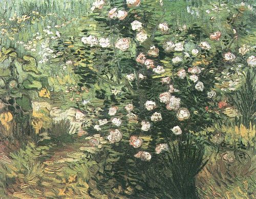Gogh, Vincent Willem van: Blhender Rosenbusch