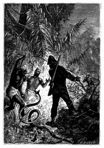 Das giftige Reptil schlngelte sich gerade auf den Oberst zu. (S. 242.)