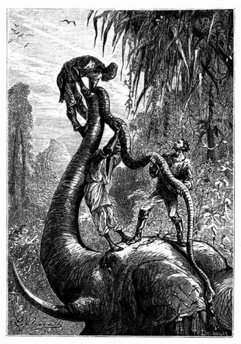 Es gelang Gomi, das gewaltige Reptil herauszuziehen. (S. 307.)