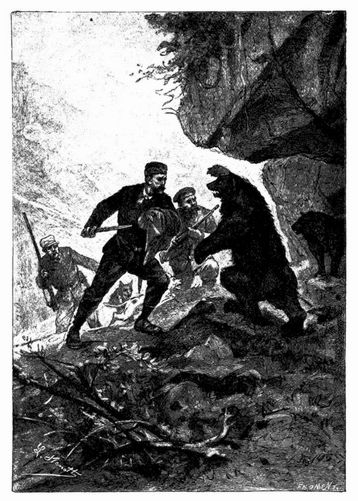 Angriff der wilden Thiere in den Bergen. (S. 117.)