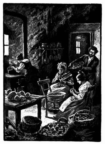Die Zubereitung der Speisen und das Einmachen von Conserven. (S. 168.)