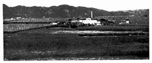 Zuckerfabrik und -Plantage in Manati (Injenio).