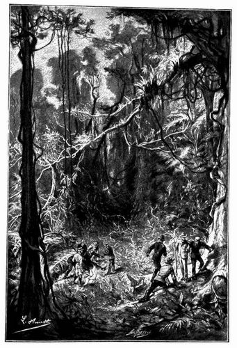 Patterson war bewutlos am Fue des Baumes zusammengebrochen. (S. 269.)