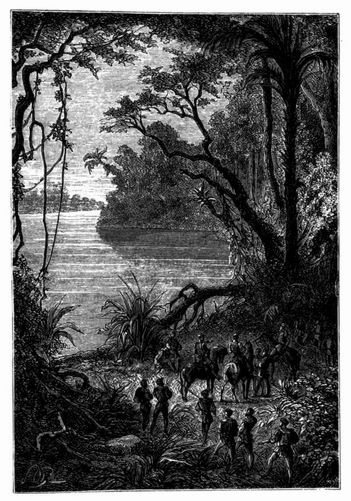 Die Ufer des Rio Napo. (S. 363.)