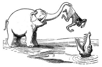 Die Rache des Elefanten