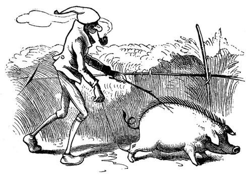 Busch, Wilhelm/.../Der Bauer und sein Schwein