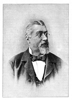 Joseph Viktor von Scheffel (Photographie um 1881)
