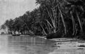 Australien und Ozeanien/Paul Hambruch: Sdseemrchen/Mikronesien/43. Die Geschichte von Jat und Jol
