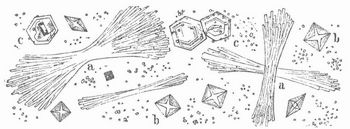 Fig. 3. Harnsaures Natron: a Kristalle von Harnsäure, b oxalsaurem Kalk, c Cystin.