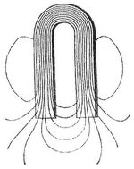 Fig. 3. Kraftlinien eines Hufeisenmagnets.