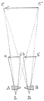Fig. 2. Brewsters Linsenstereoskop.