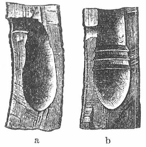 Fig. 1. Lngsschnitte: a einer natrlichen Spechthhle, b einer v. Berlepschen Nisthhle.